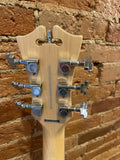 D'Angelico Premier Bob Weir Bedford Signature Guitar in Matte Stone