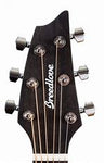 Breedlove ECO Rainforest S Concert CE Acoustic-Electric Guitar - Orchid African Mahogany