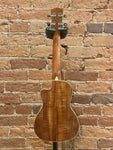 Luna Vista Eagle Acoustic-electric Concert Ukulele - Gloss Natural